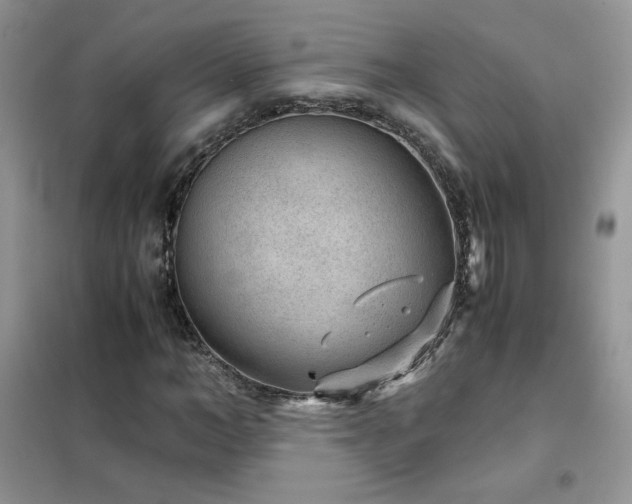 X0000102380966200808011533