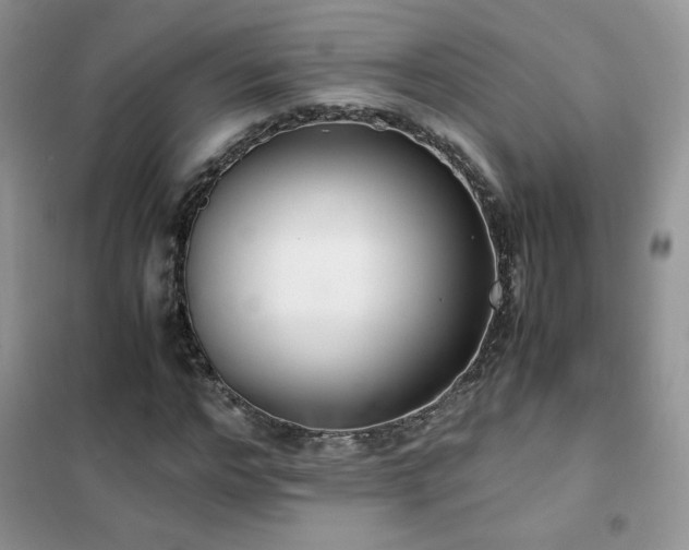 X0000102380968200808011533