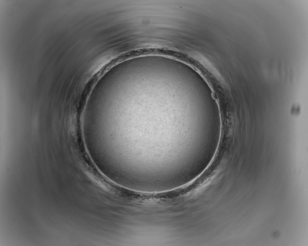 X0000102380969200808011533