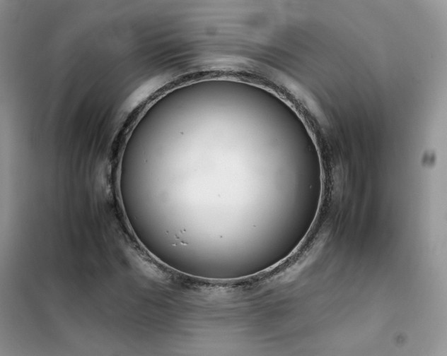X0000102380970200808011533