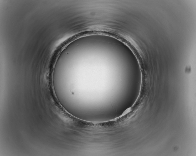 X0000102380971200808011533