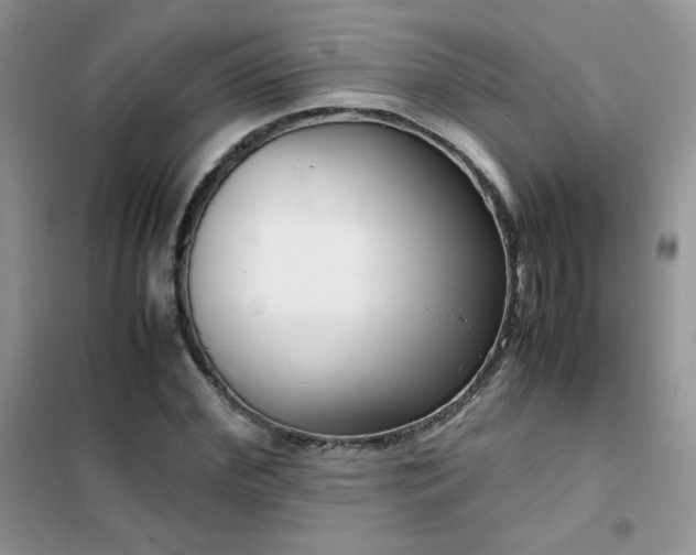 X0000102380972200808011533
