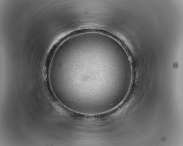 X0000102380973200808011533