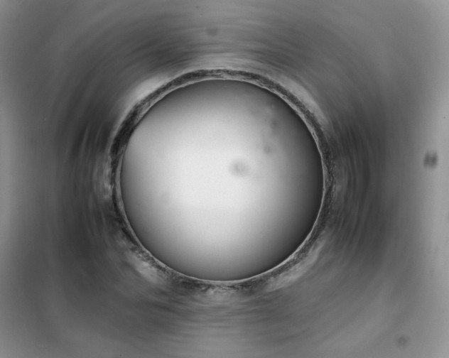 X0000102380974200808011533