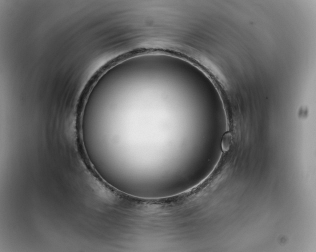 X0000102380976200808011533