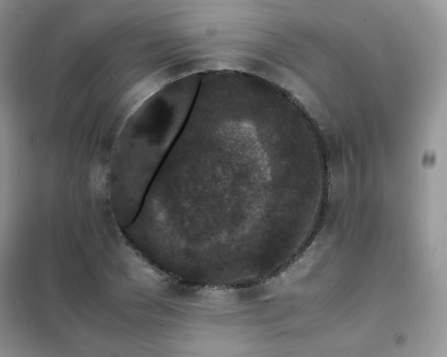 X0000102380977200808011533