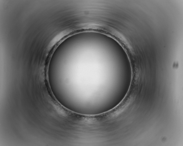 X0000102380978200808011533