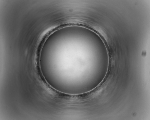 X0000102380979200808011533