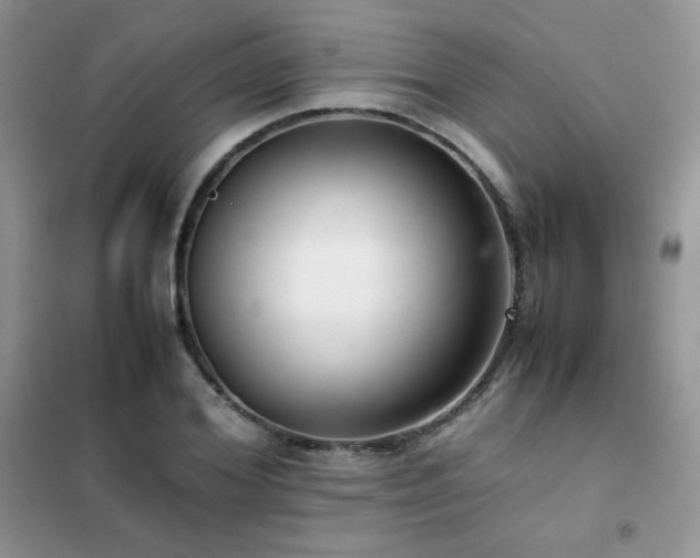 X0000102380980200808011533