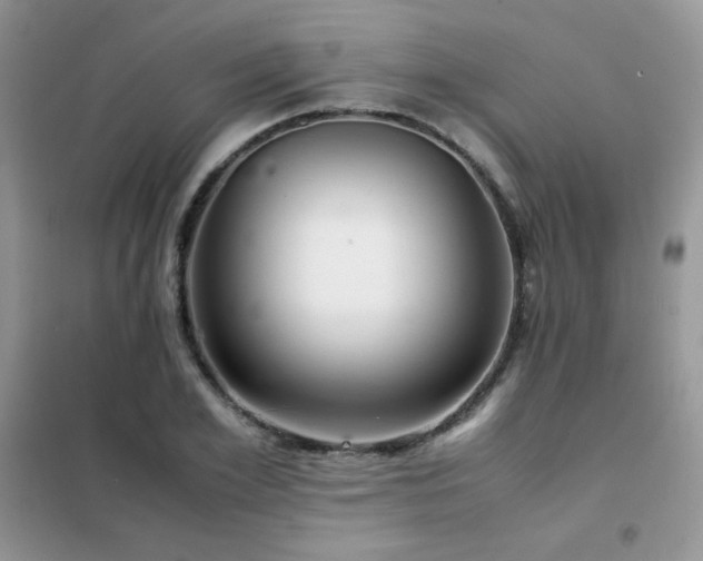 X0000102380981200808011533
