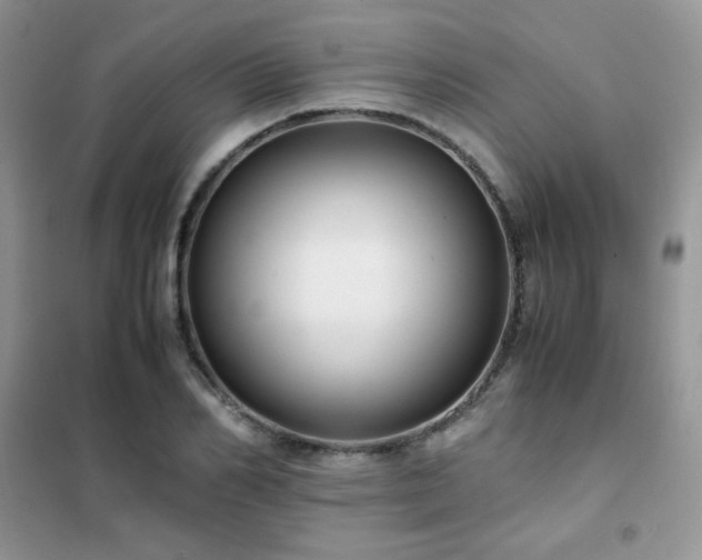 X0000102380982200808011533