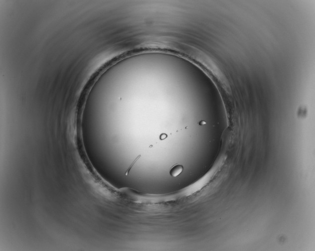 X0000102380984200808011533