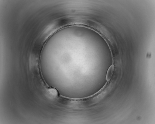 X0000102380985200808011533
