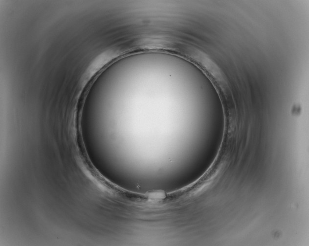 X0000102380986200808011533