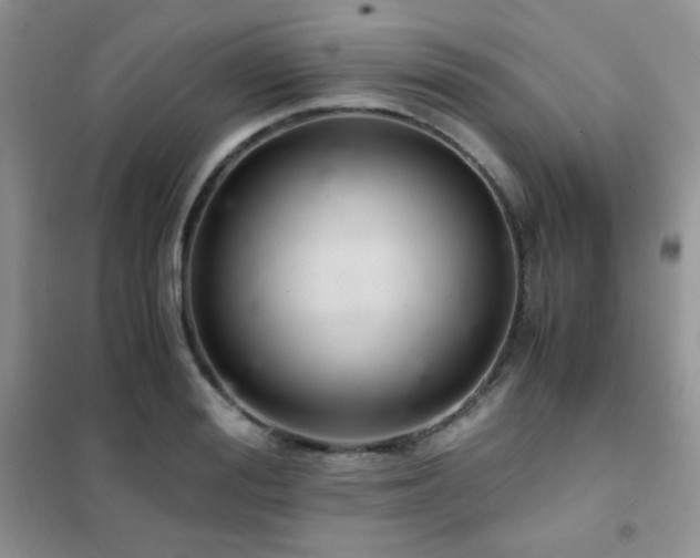 X0000102380988200808011533