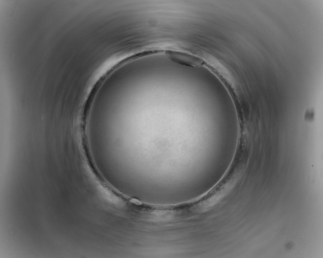 X0000102380989200808011533