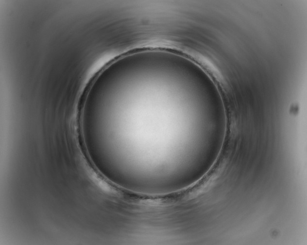 X0000102380990200808011532