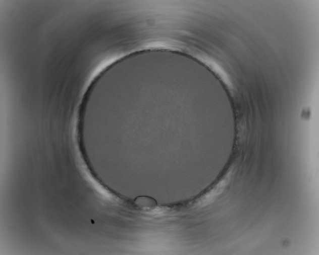 X0000102380991200808011532