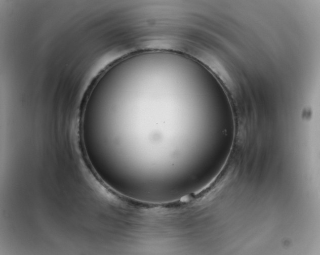 X0000102380992200808011532