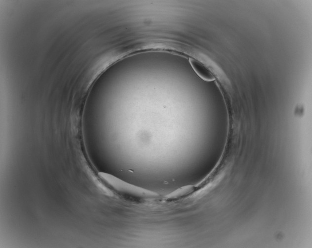 X0000102380993200808011532