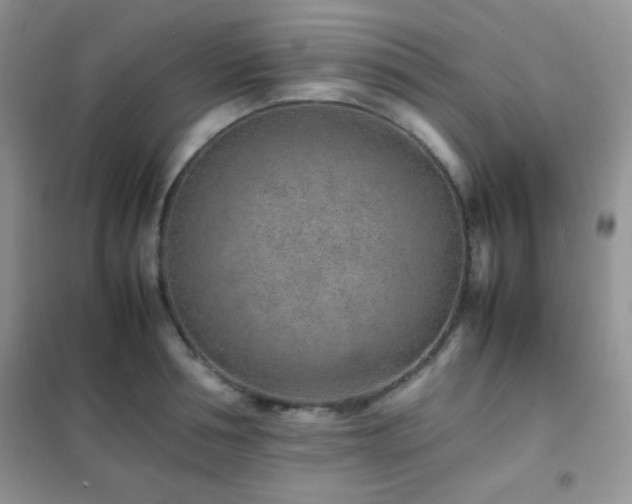 X0000102380994200808011532