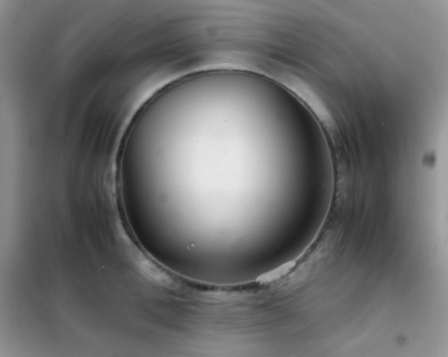 X0000102380996200808011532