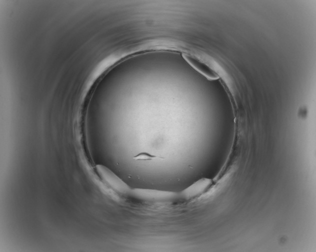 X0000102380997200808011532