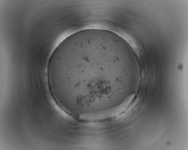 X0000102380998200808011532