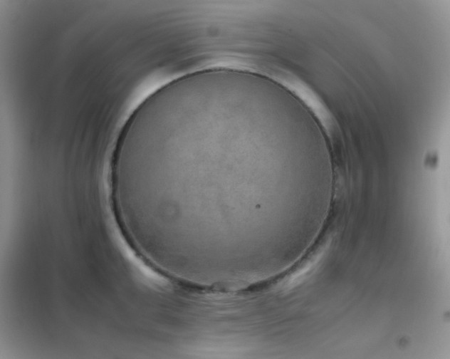 X0000102380999200808011532