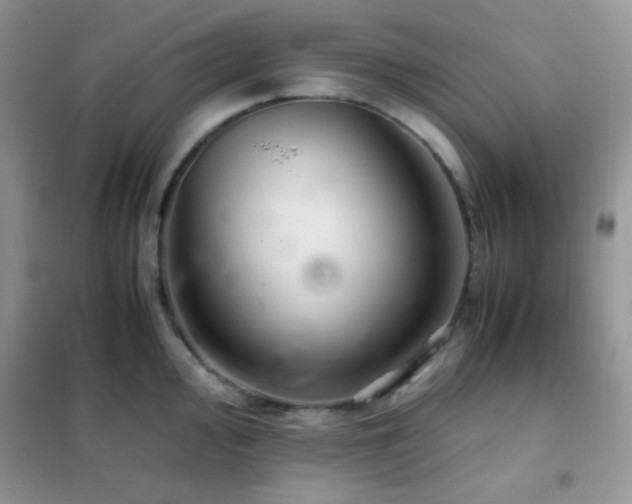 X0000102381000200808011532