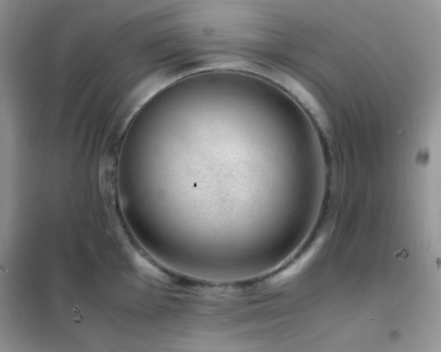 X0000102381001200808011532