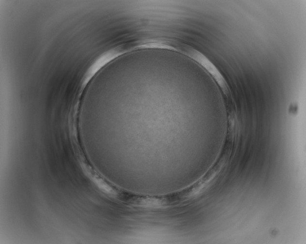 X0000102381002200808011532