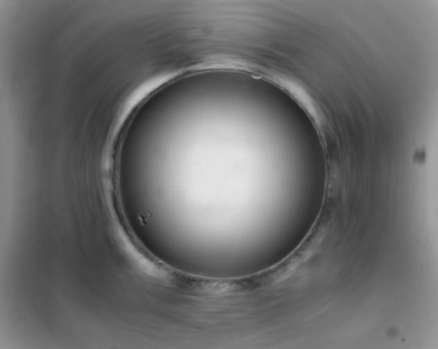 X0000102381003200808011532