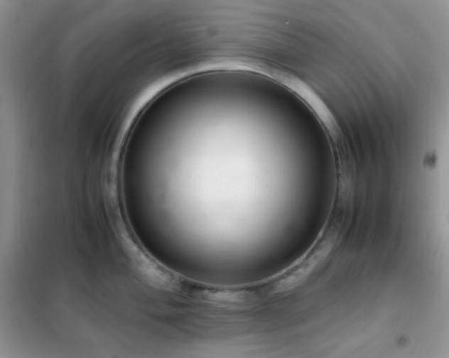 X0000102381004200808011532