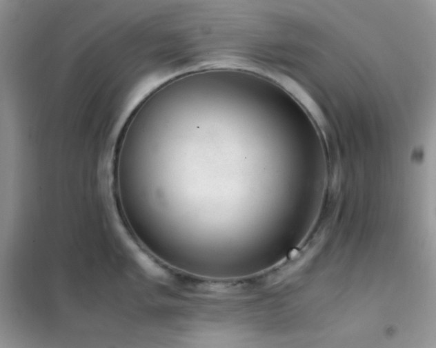 X0000102381005200808011532