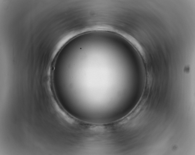 X0000102381006200808011532