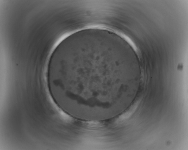 X0000102381007200808011532