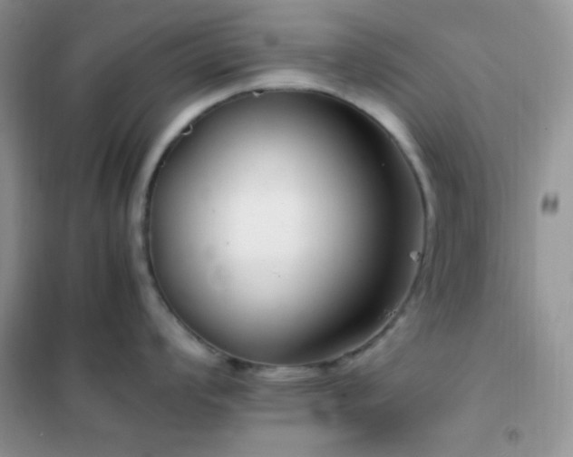 X0000102381008200808011532