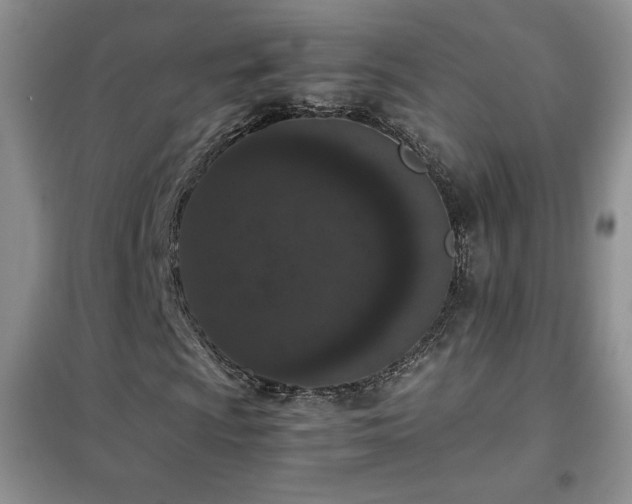 X0000102381009200808011532