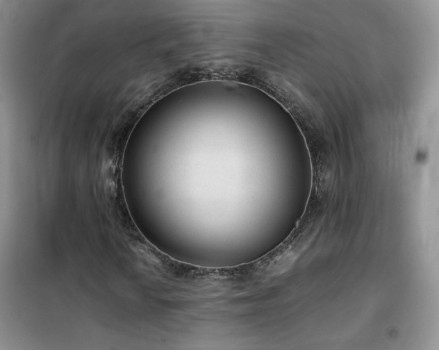 X0000102381010200808011532