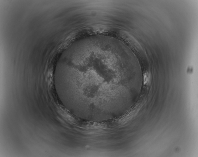 X0000102381011200808011532