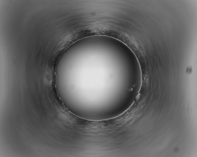 X0000102381012200808011532