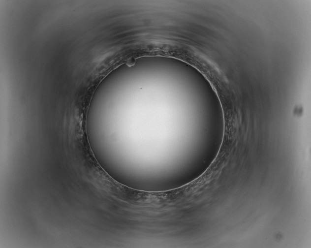 X0000102381013200808011532