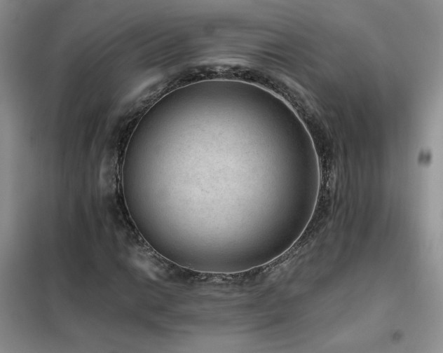 X0000102381014200808011532