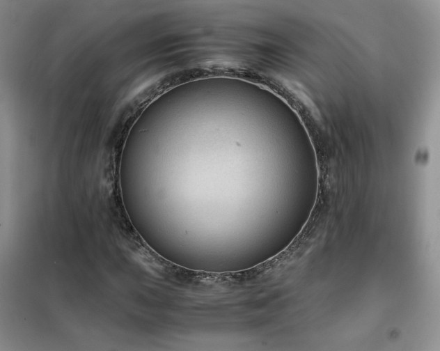 X0000102381015200808011532