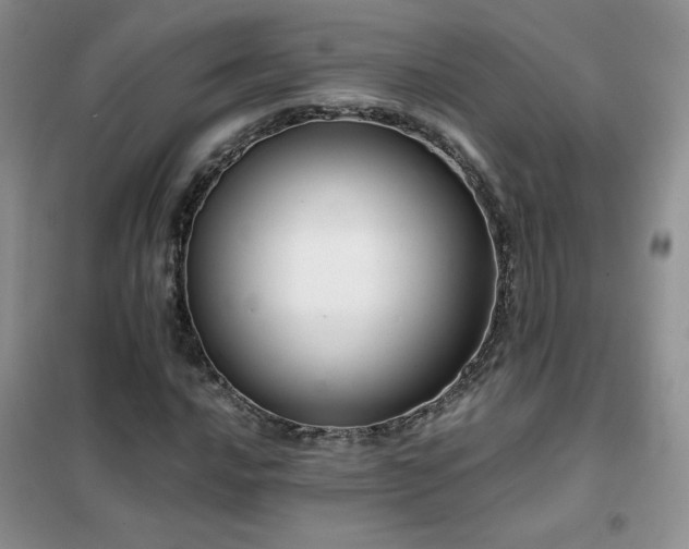 X0000102381016200808011532