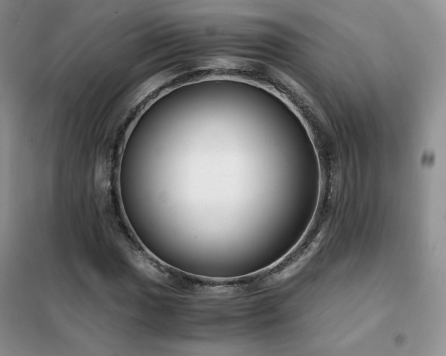 X0000102381017200808011532