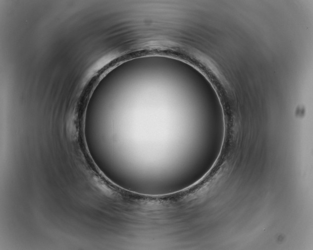 X0000102381018200808011532