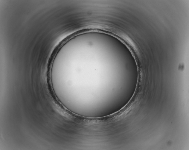 X0000102381020200808011532