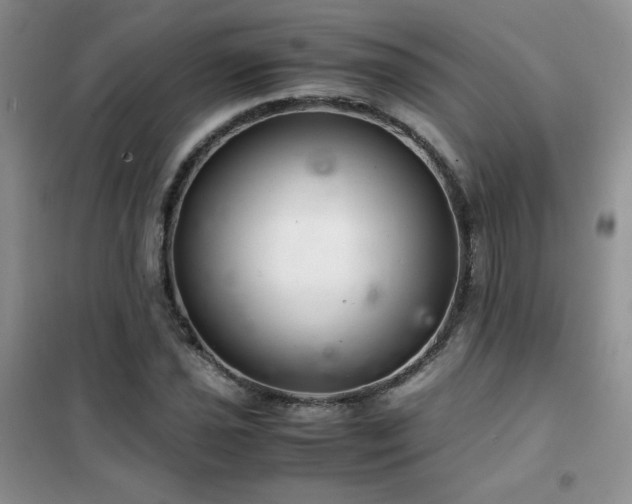 X0000102381021200808011532